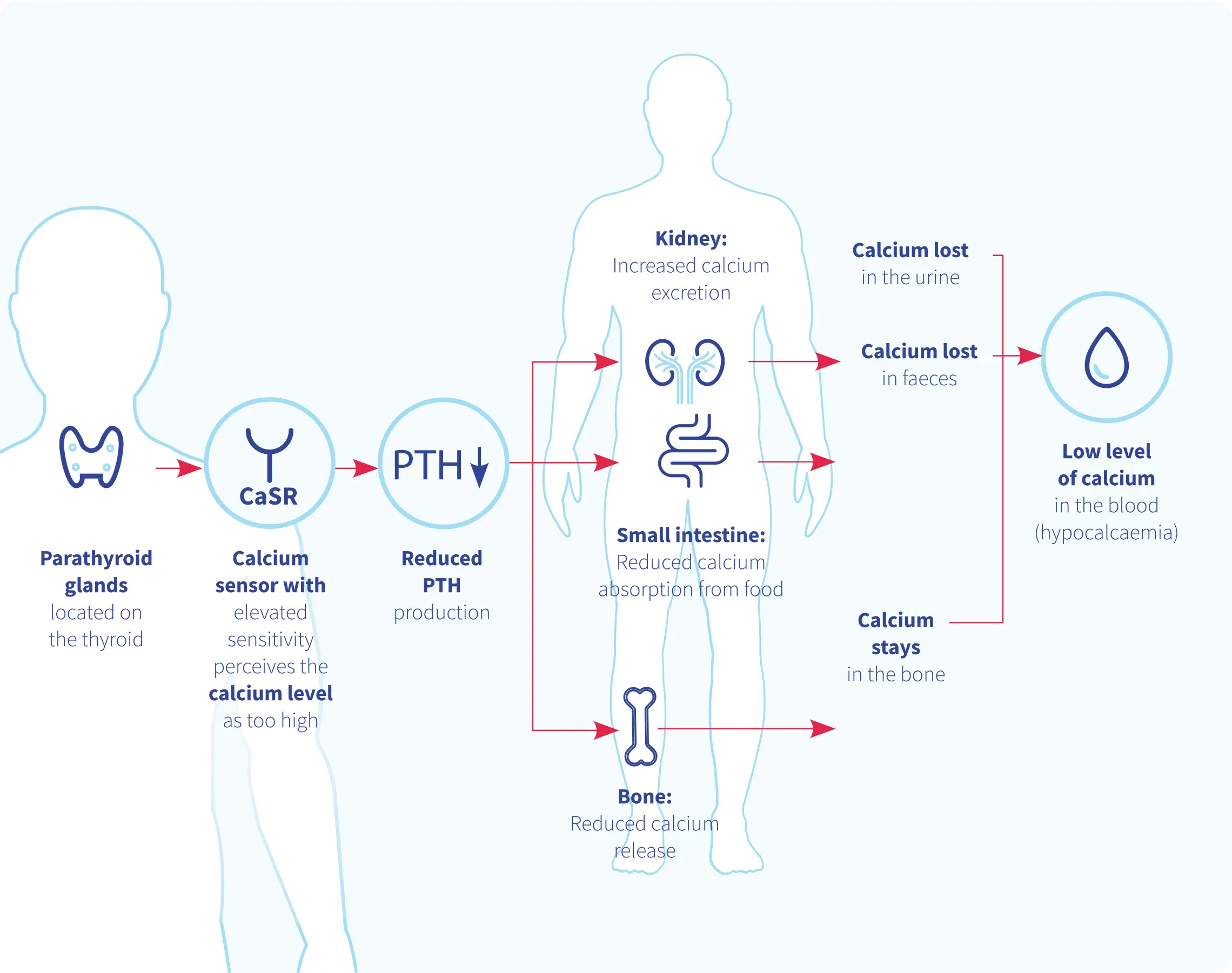 BridgeBio - Genetic variants