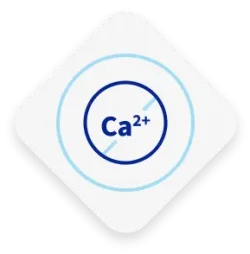 Calcium supplements